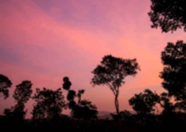 Bangalore To Coorg – A Spectacular Journey to the Hill Station!