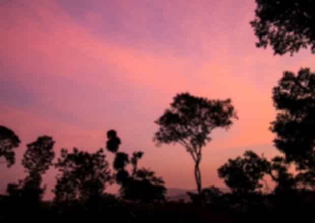 Bangalore To Coorg – A Spectacular Journey to the Hill Station!