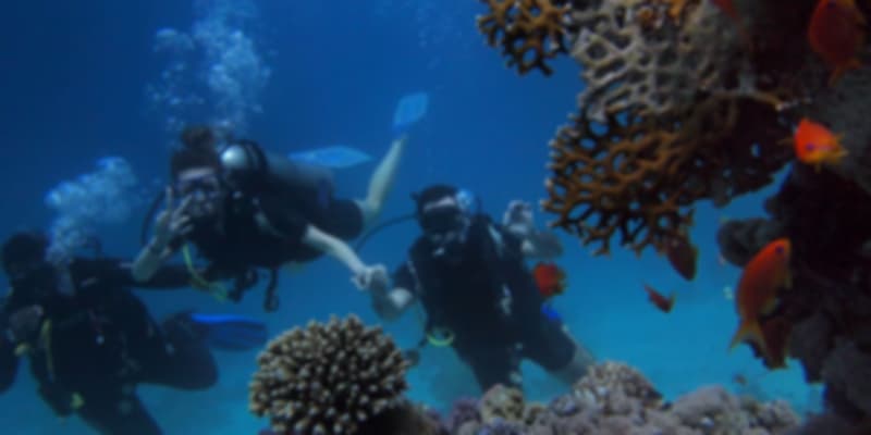 Scuba Diving in Koh Rin