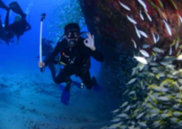 Seychelles vs Maldives: Which is better for Honeymoon Vacation ?