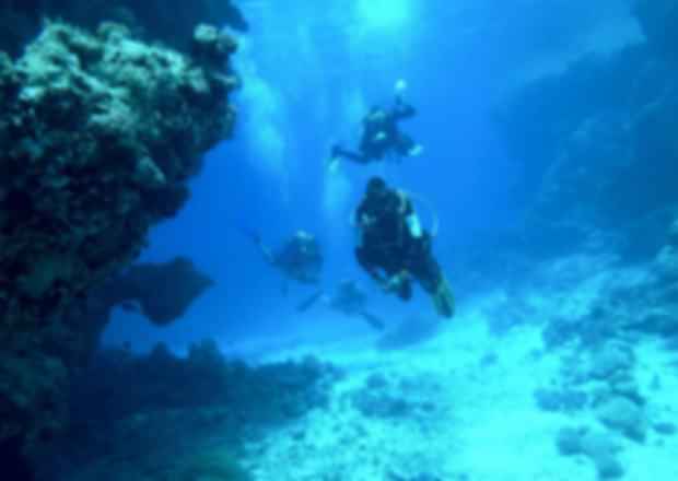 Scuba Diving in Pattaya – 6 Best Spots For Scuba Diving in Pattaya