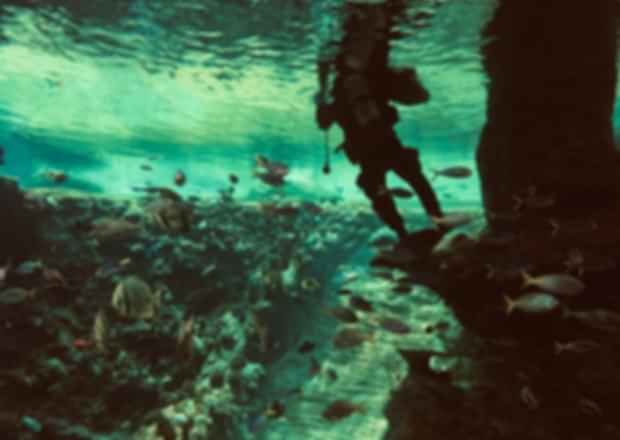 Scuba diving in Cambodia – Everything you need to know