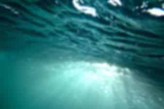 Snorkelling in Seychelles – exploring the marine life of the earthly paradise