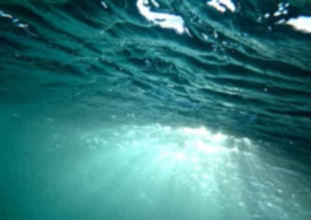 Snorkelling in Seychelles – exploring the marine life of the earthly paradise