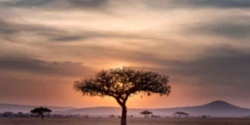 Things to do in South Africa