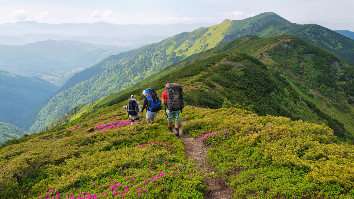 11 Best Places to Visit in India in June 2026