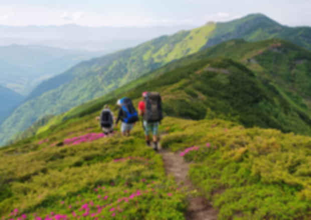 11 Best Places to Visit in India in June 2025