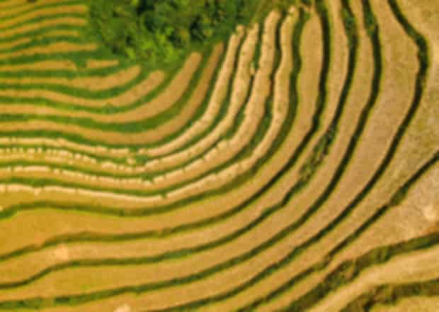 Sapa Valley Trekking Guide 2026: Complete Cultural & Budget Planning