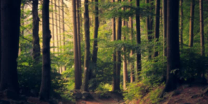 Virachey National Park