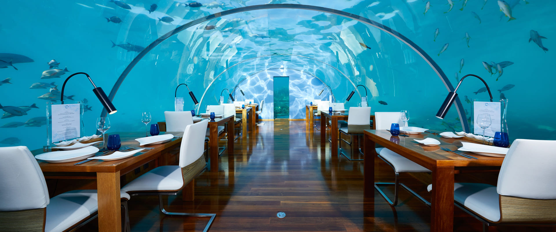 Best Underwater Restaurants in the Maldives : Dining Guide