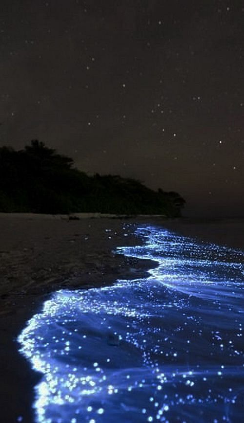 Vaadhoo beaches at night 
