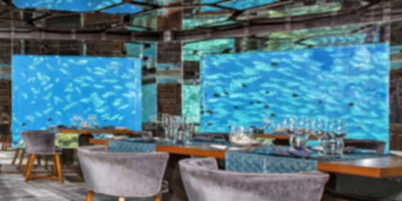 5.8 Undersea Restaurant – Hurawalhi Maldives