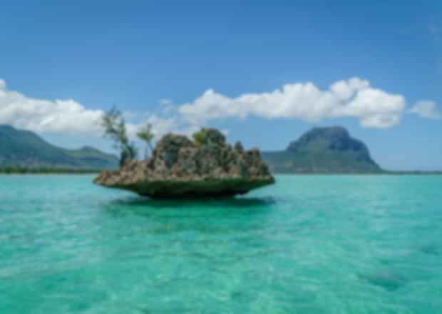 Anse La Raie Beach: A Must-Visit Gem on Mauritius’ Coast!