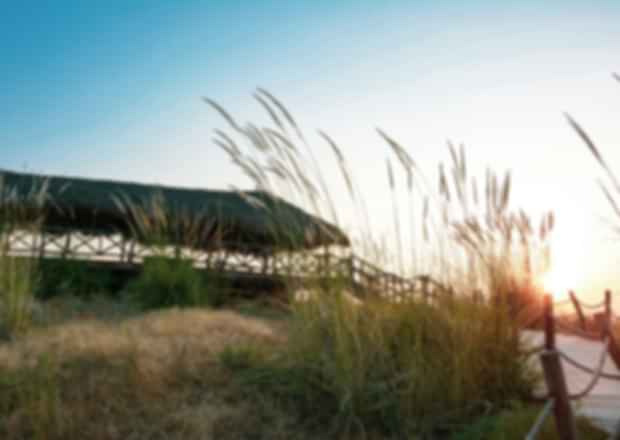 Villages in Rajasthan: Experiencing the Culture in the Desi manner