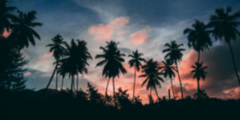 The evening beauty of Seychelles.