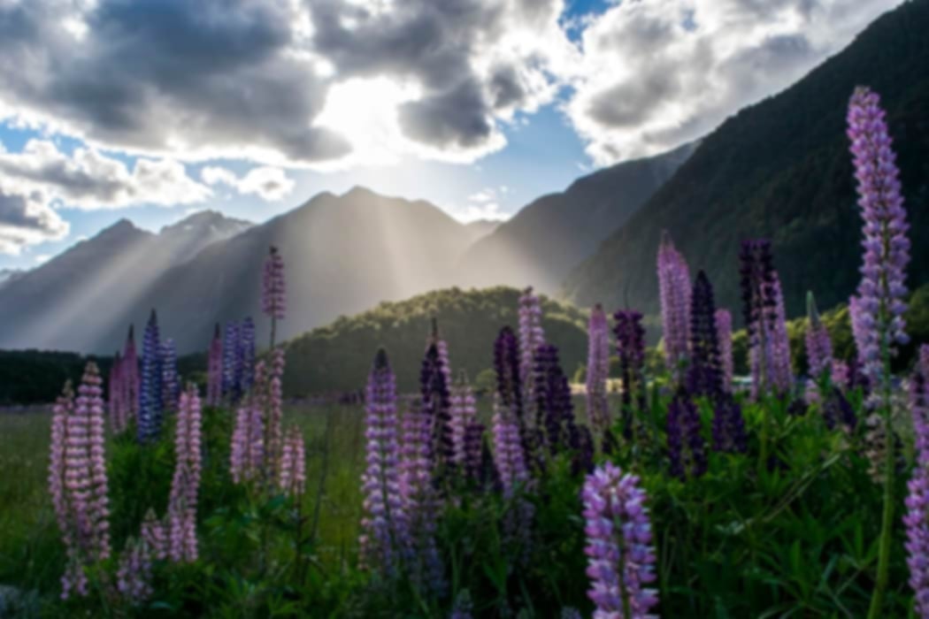 New Zealand in December: A perfect summer trip!