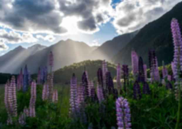 New Zealand in December: A perfect summer trip!