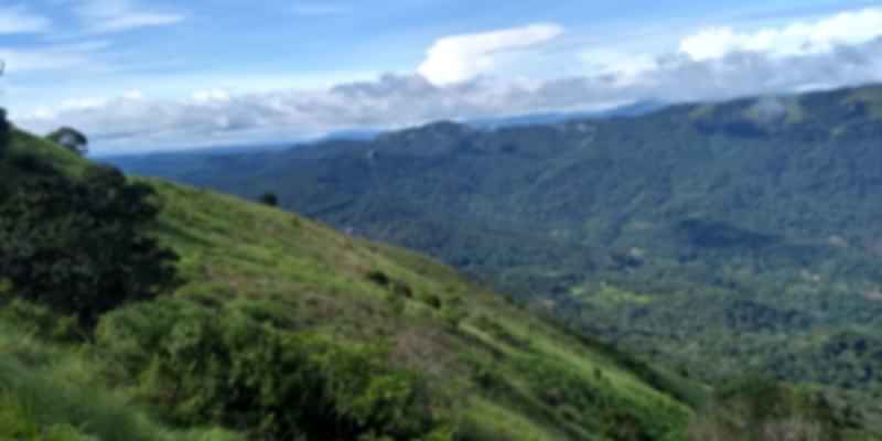 The coorg hills near in Karnataka