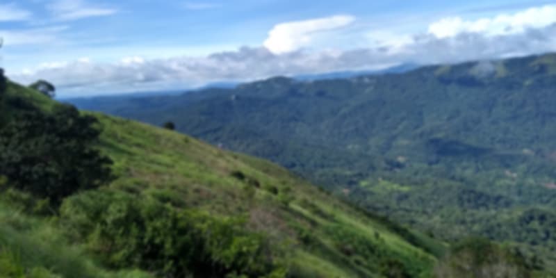 The coorg hills near in Karnataka