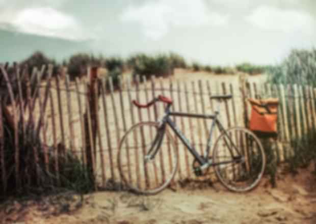 Cycle Through The Islands With Bicycle in Seychelles