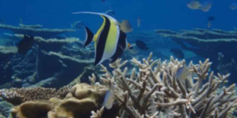seychelles