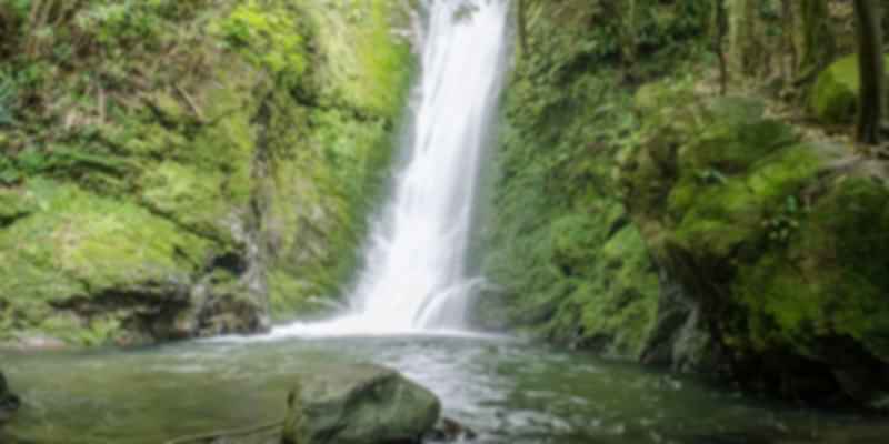 Greenery around waterfalls