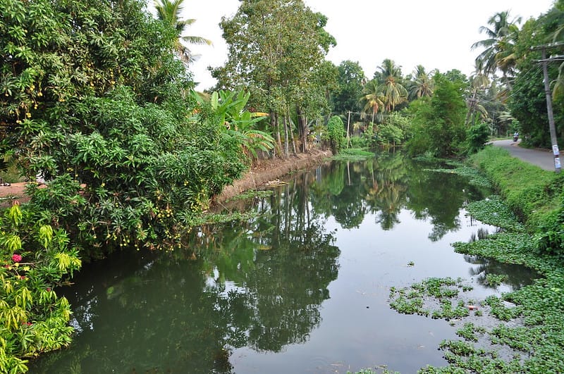 4 Days In Kerala: A Travel Guide To Capture The Essence Of Kerala