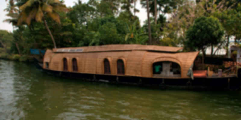 Backwater Cruise in Kerala