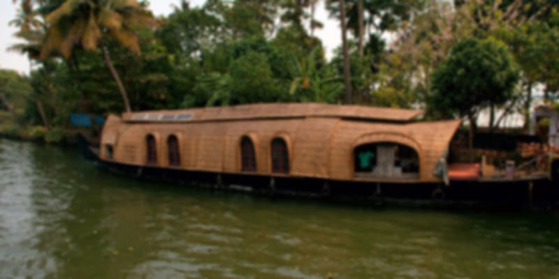 Backwater Cruise in Kerala