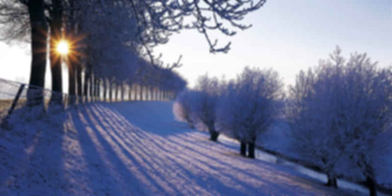 Winter in the Netherlands