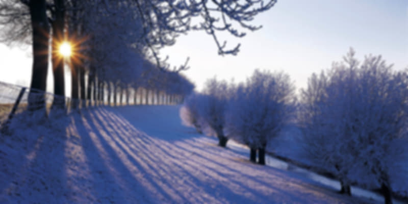 Winter in the Netherlands