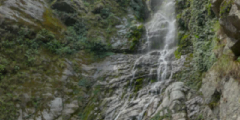 A picture of Sessa Orchid Sanctuary, one of the national parks in Arunachal Pradesh