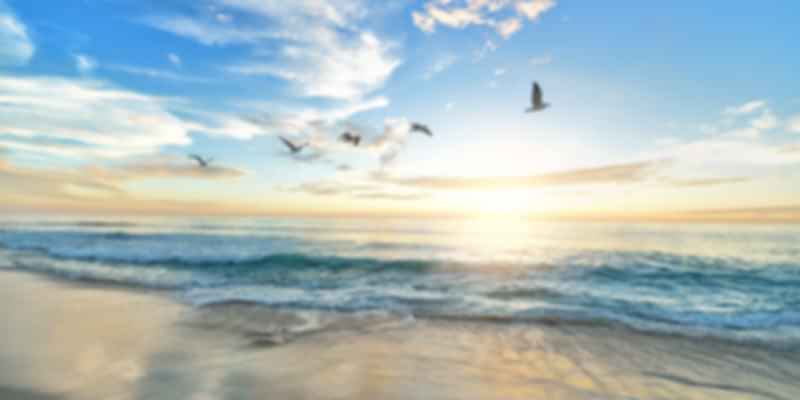 Alibaug Beach NEAR MUMBAI FOR 02 DAYS