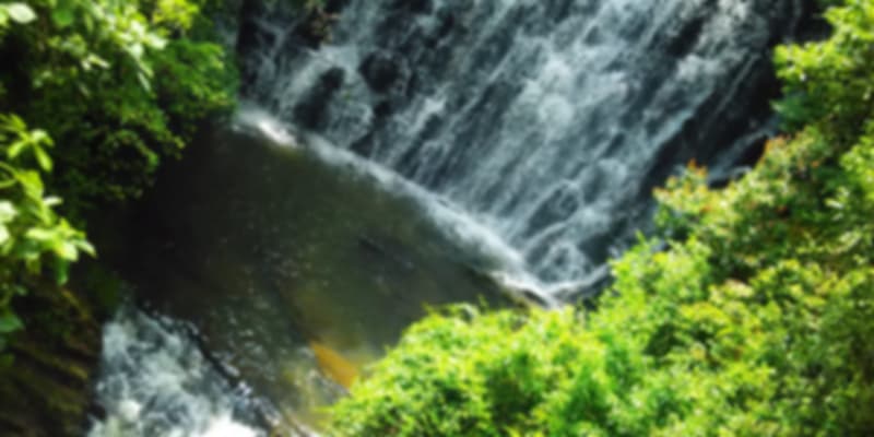 A view of the picturesque Elephant Falls in Shillong