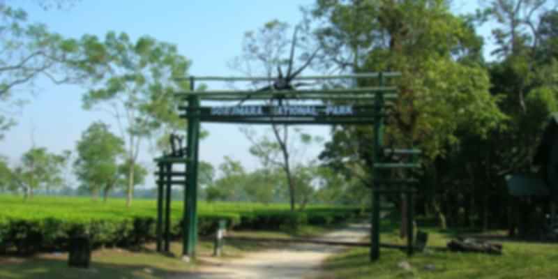 A picture of the entrance of Gorumara National Park