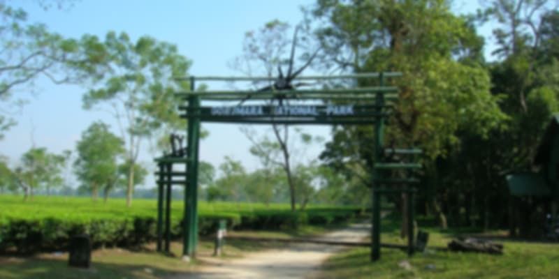 A picture of the entrance of Gorumara National Park