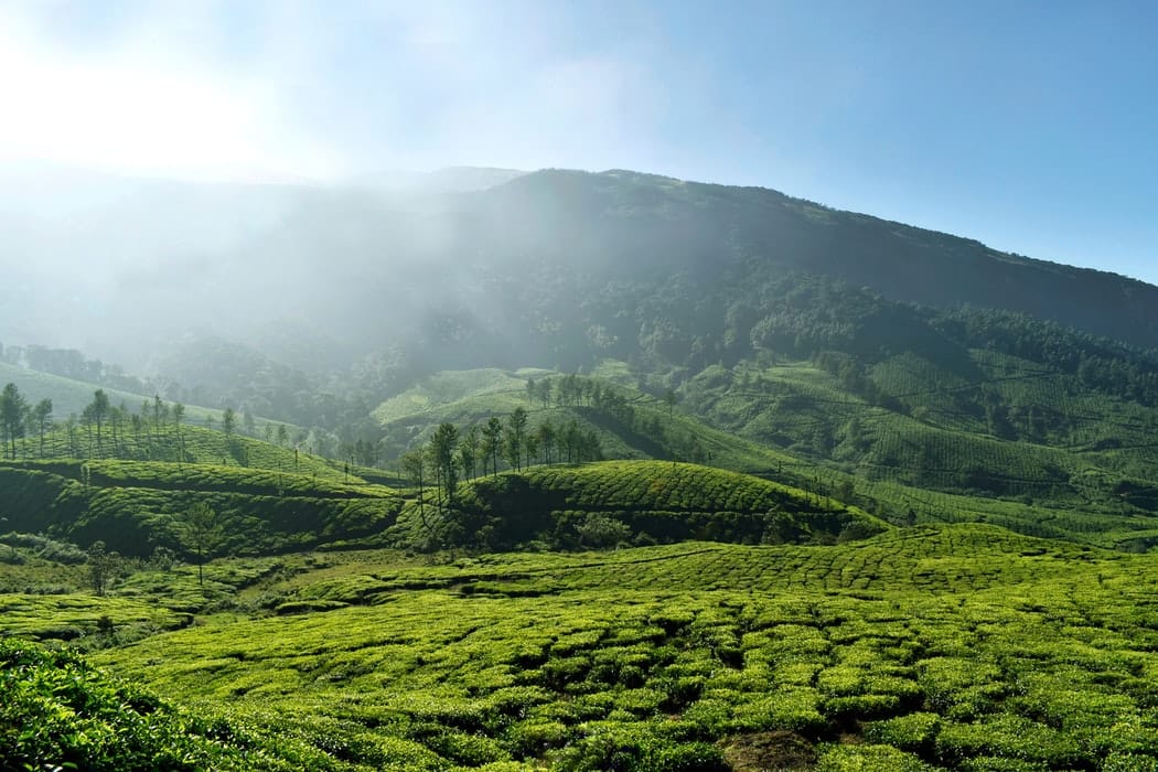 A 10 Day Itinerary to Gods own country