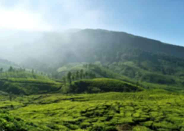 A 10 Day Itinerary to Gods own country