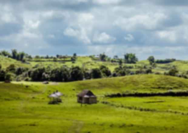 Top 5 National Parks in Meghalaya – A Must Visit