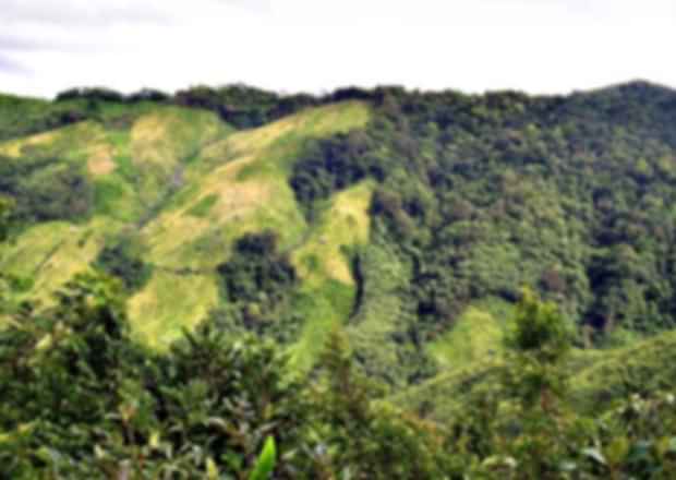 An Ultimate travel Guide to Nokrek National Park, Meghalaya