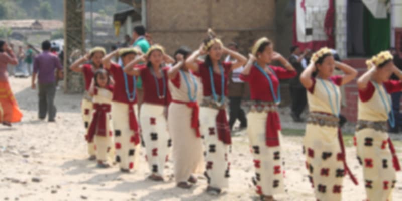 Nyokum Festival celebrated in Arunachal Pradesh.
