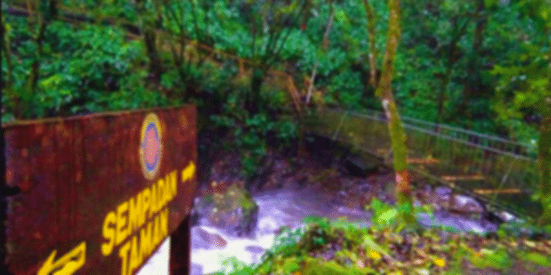 Mount alab, Crocker Range