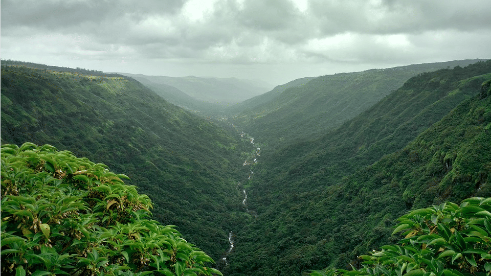 Hill Stations Near Kolkata  For Breathtaking Weekend Getaway