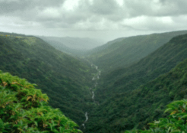 Hill Stations Near Kolkata For Breathtaking Weekend Getaway