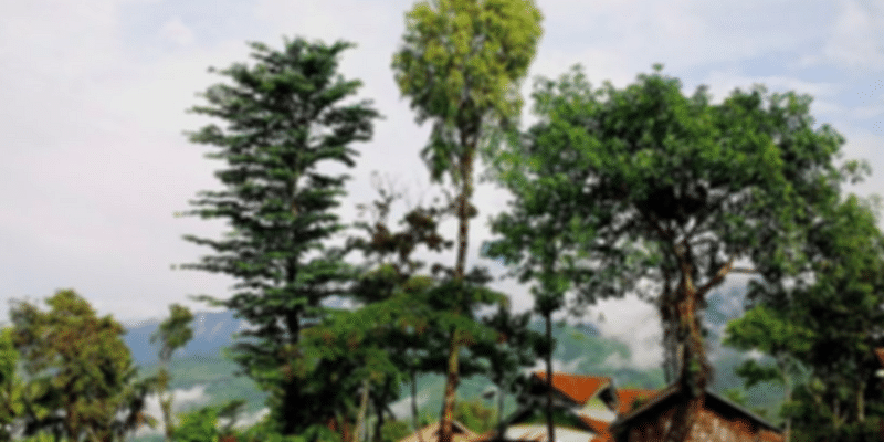 Sonari Town