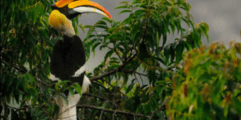 Touphema Tourist Village