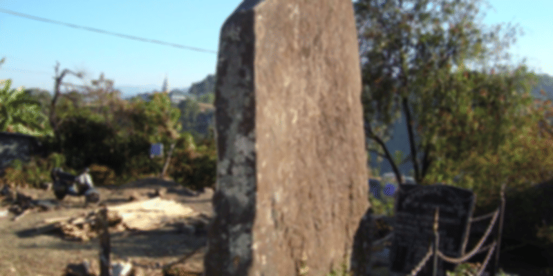 the traditional Naga