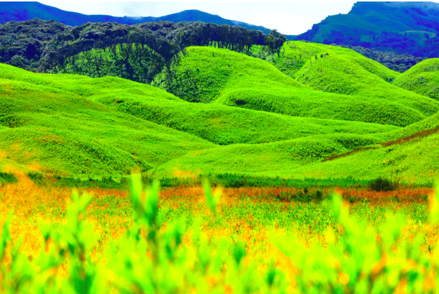 10 day offbeat Nagaland Itinerary