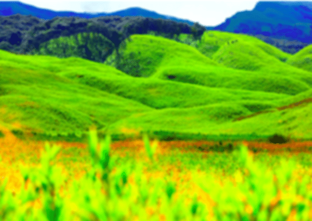 10 day offbeat Nagaland Itinerary