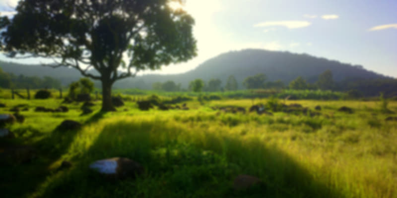 Landscape at Yelagiri
